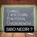 SIBO NEDİR?