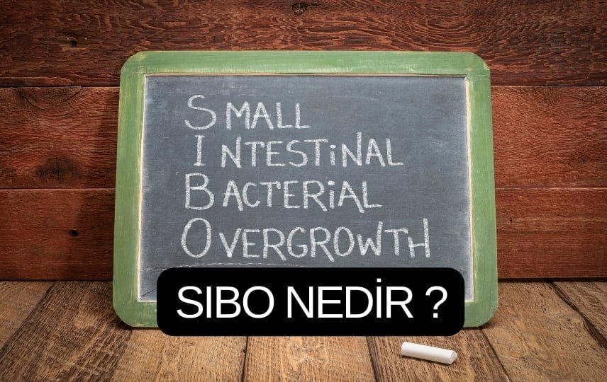 SIBO NEDİR?